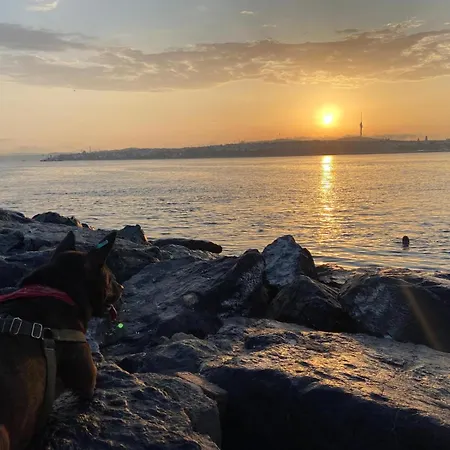 Blue Star Old Center Apartment Istanbul