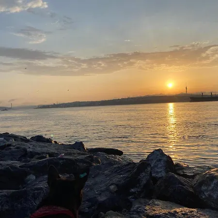 公寓 Blue Star Old Center