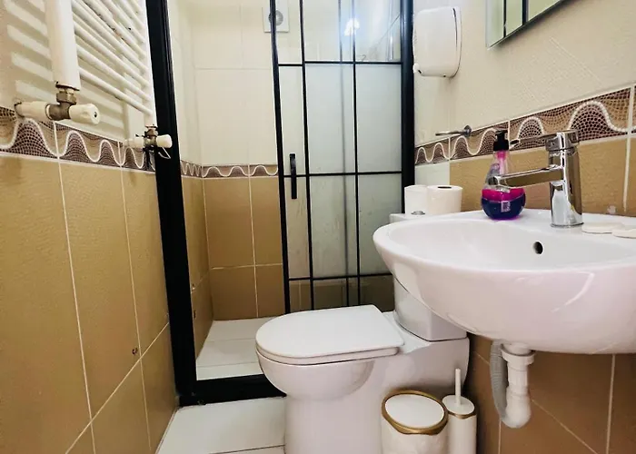 Blue Star Old Center 公寓