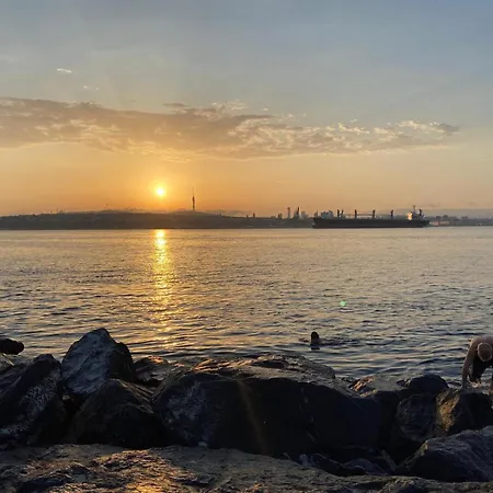 Blue Star Old Center