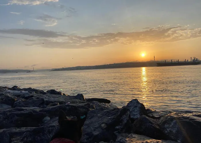 Apartment Blue Star Old Center