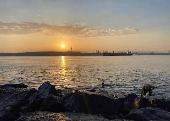 Blue Star Old Center