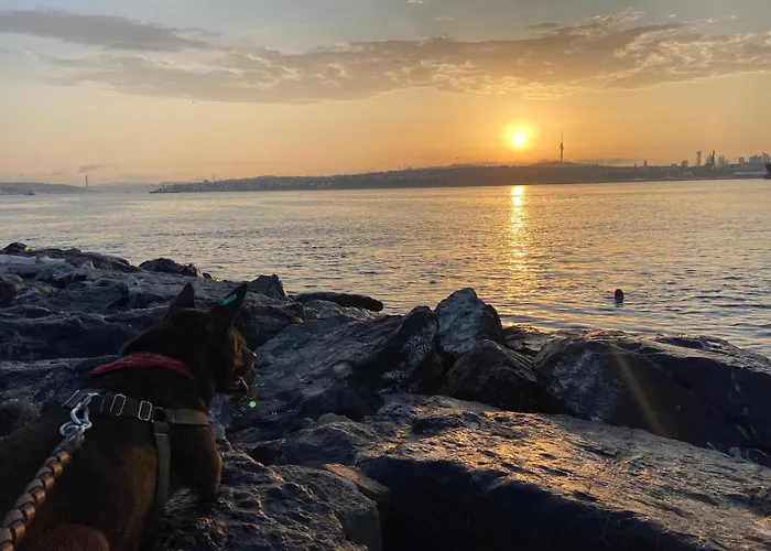 Blue Star Old Center Apartment Istanbul